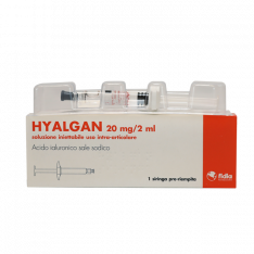 Гиалган (Hyalgan) Фидия / Гиалганбио шприц 2 мл 20 мг №1 (1 шт.)