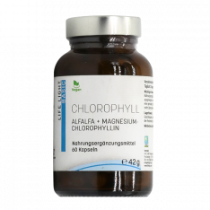 Хлорофилл капс. №60