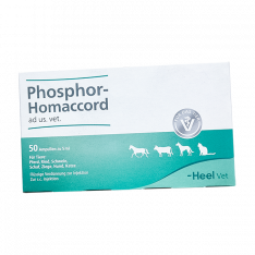 Фосфор гомаккорд (Phosphor-Homaccord) для собак (ветеринарный) амп. №50